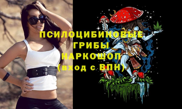 не бодяженный Армянск