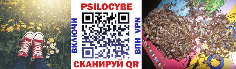 Галлюциногенные грибы мицелий  Арсеньев 